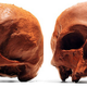 Illustration for article titled An Anatomical Chocolate Skull For Sweet-Toothed Cannibals